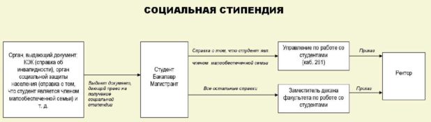 Как оформить социальную стипендию студенту — порядок действий и документы