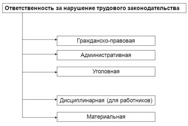 Какую ответственность несет работодатель и организация за неоформление трудового договора