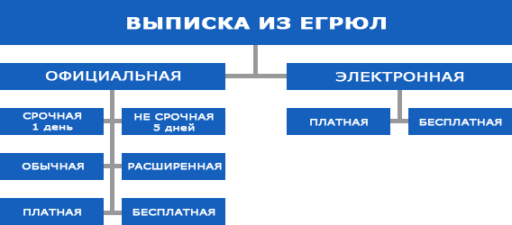 Инструкция по получению выписки из ЕГРЮЛ через налоговую или интернет