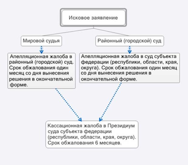 Сроки обжалования апелляционного определения по гражданскому делу, порядок их восстановления и подачи жалобы