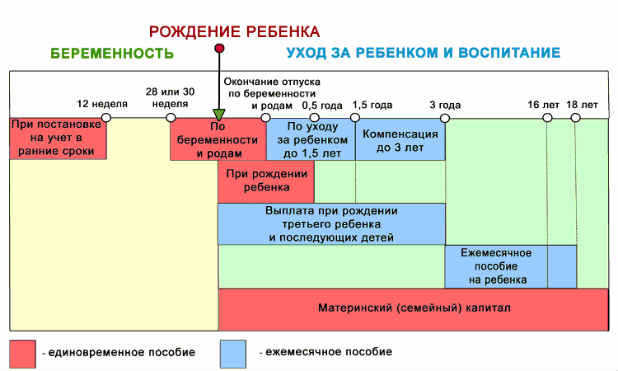 Порядок расчета и калькулятор декретных выплат — пособия по беременности и родам и по уходу за ребенком