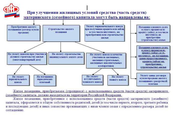 Как оформить материнский капитал в 2021 году — все, что нужно знать